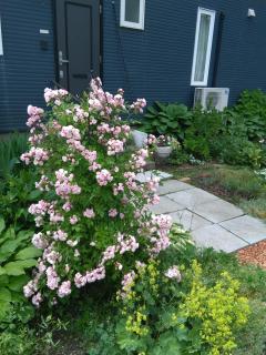 Guest House Annabel - Hakodate - 5