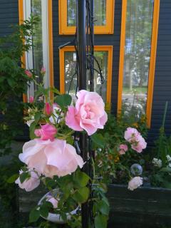 Guest House Annabel - Hakodate - 8