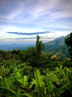 Shambala Retreat- Private Villa with Mountain and Waterfall Views - 2