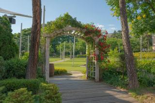 Mayfield Hotel Seoul - Seoul - 8