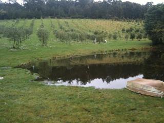 Wanderers Cottage - Woodbridge - 7