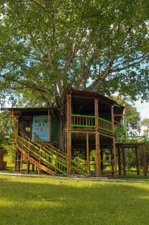 Room in Lodge - Tree House Finca La Floresta Verde - Risaralda - 4