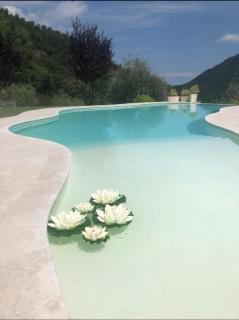 CHALET VELA Natura e Relax - Gavardo - 9
