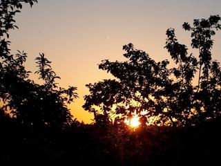 Ferienwohnungen Herbst - Obing - 6