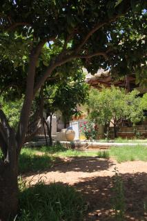 Stalis Bay Villa - Stalida - 5