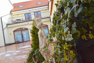 Hotel Sebastian u Hoffera - Modra - 8