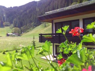 Ferienwohnungen Bailom - Elbigenalp - 4