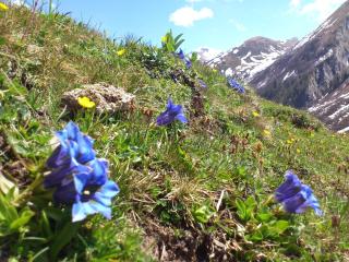 Ferienwohnungen Bailom - Elbigenalp - 2