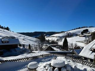 Cozy Condo, Ski in and Out - Todtnau - 8