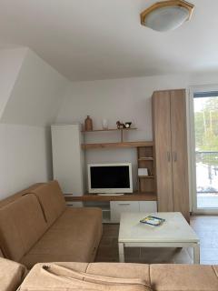Apartman Anastasija Jezero - Divčibare - 7