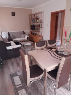 Apartman Dunja 2 - Bajina Bašta - 3
