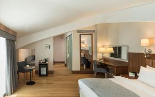 Holiday Inn Istanbul Old City by IHG - Istambul - 3
