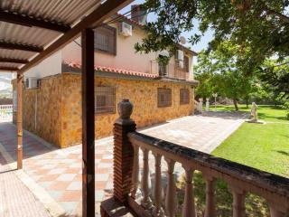 Finca bellas vistas - El Padul - 4