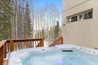 Benchmark 244 - Vista Lodge - Telluride - 9
