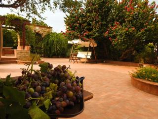 Mouzaliko Guesthouse Mansion - Kambos - 5