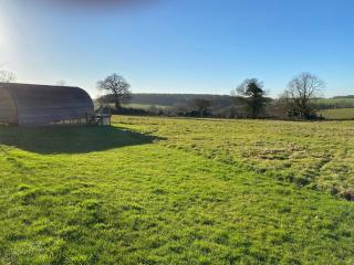 Hood Lane Farm - The Pod - Luxury Glamping Holiday Lodge - Arley - 4