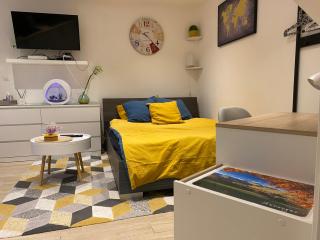 Le studio à découvrir. - Marquette-lès-Lille - 8