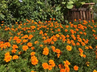 B&B Prato San Lorenzo - 1