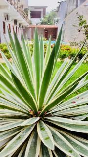 Lagoa de Porto - Dhéia 14 - 3