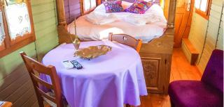 Studio cosy à Bussac-Forêt avec piscine partagée, 15m² - 5