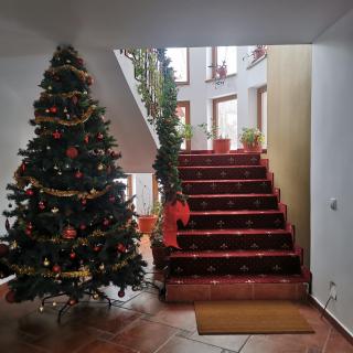 Pensiunea Rasnov - 4