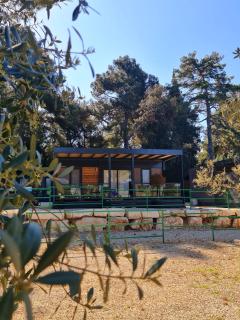 LUXURY MOBILE HOMES IVACI - Rovinj - 8