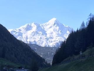 Fremdenpension Alpenruhe - 9