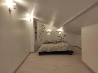 Superbe Duplex en plein cœur de Crépy-en-Valois - Crépy-en-Valois - 8