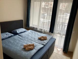 Cactus Apartment - 3