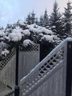 Schönwald Waldchalet am Musenberg - 4