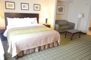 Comfort Inn Southwest Fwy at Westpark - 4