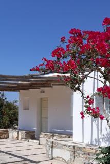 The Artists House - Traditional Home - Agia Theodoti - 0