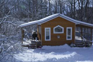 Serene Westside Tiny Cabin - 5