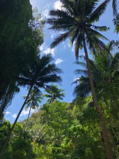 AYA APARTMENTS IN MBC - 0