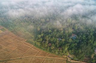 Raindrops Resorts Wayanad - Sultan Bathery - 8
