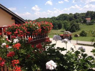 Guesthouse Ante Hodak - Selište Drežničko - 3