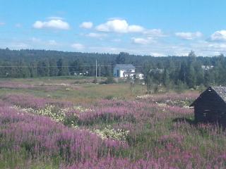 Arctic River Chalet - 7