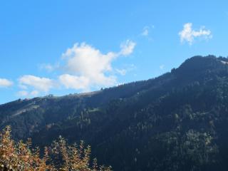 Leitnerhof - 3