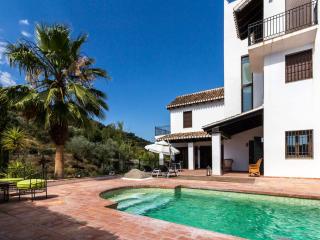Casa el mayorazgo - Saleres - 9