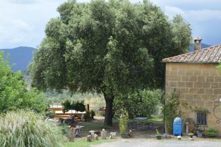 Agri-Bio Podere Santa Palmira - Pomarance - 9