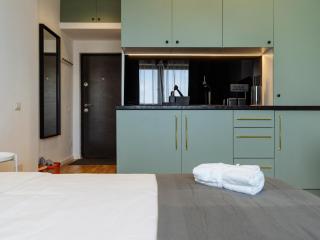 Beautiful Modern Studio - Cismigiu Park - Netflix - Bucarest - 9