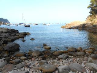 La falconera - Begur - 6