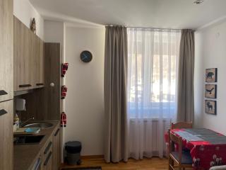 "Apartman Snow Idyll" Brzeće Center Apartments - 4