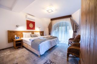 Apartamenty przy Hotelu Żywieckim - Przyłęków - 3
