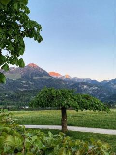 Pension Kohlhiasl - Schönau am Königssee - 6