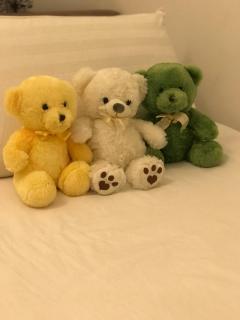 KLCC view with a superking bed at a 3-bedroom premium unit - 1