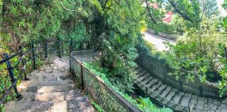 Pitti Villa - Lierna - 2