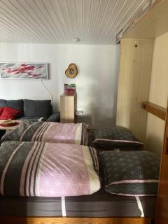 Gemütliche Ferienwohnung in Sankt Blasien - St. Blasien - 4