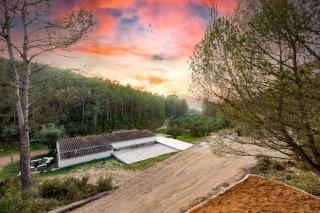 Cabaña del Bosque - Canyelles - 2