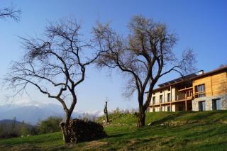Apartments Lom - Most na Soči (Santa Lucia d'Isonzo) - 0